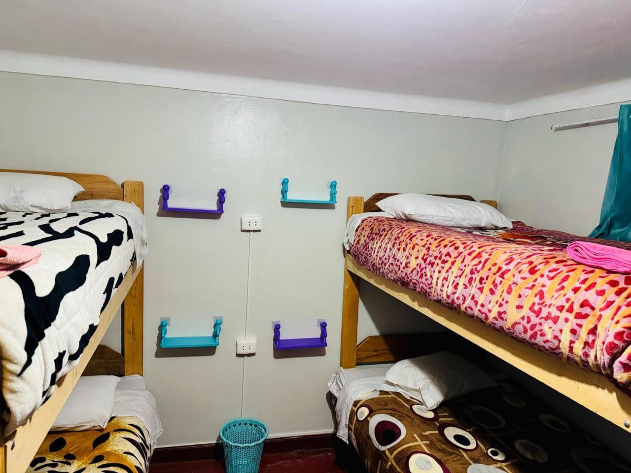Auberge de jeunesse Ukumari Cusco