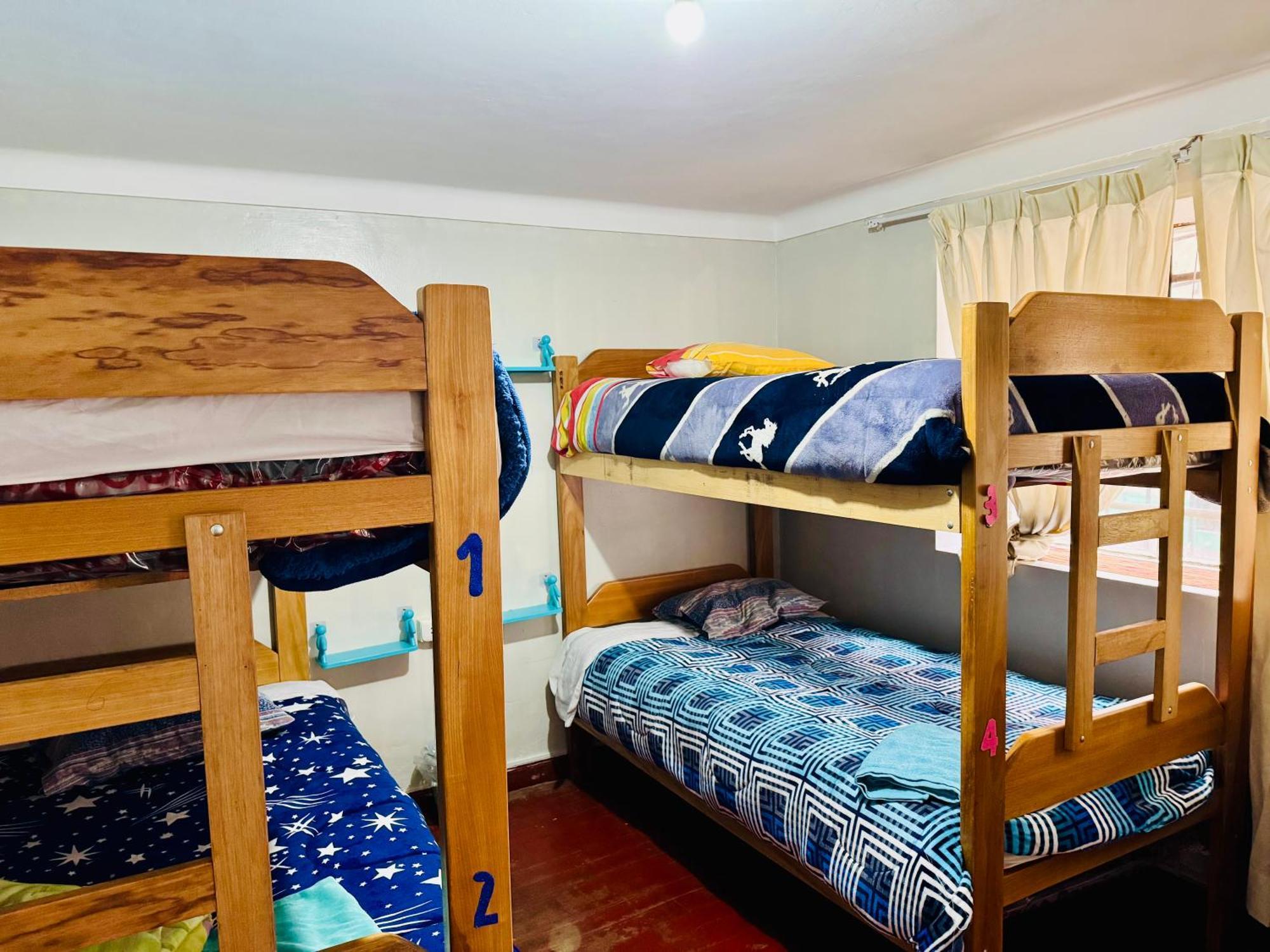 Ukumari Auberge de jeunesse Cusco